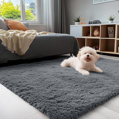 Machine Washable 4x5.9ft Soft Shaggy Area Rug, Grey, for Living Room, Bedroom, Nursery, Kids' Rooms